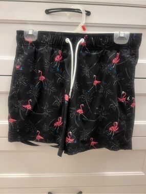 Men’s Hollister Black Swim Trunks with Pink Flamingo Print-Size S